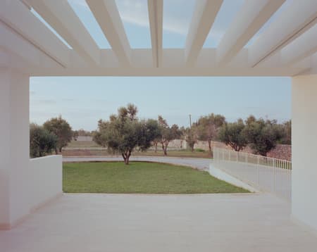 Olive House